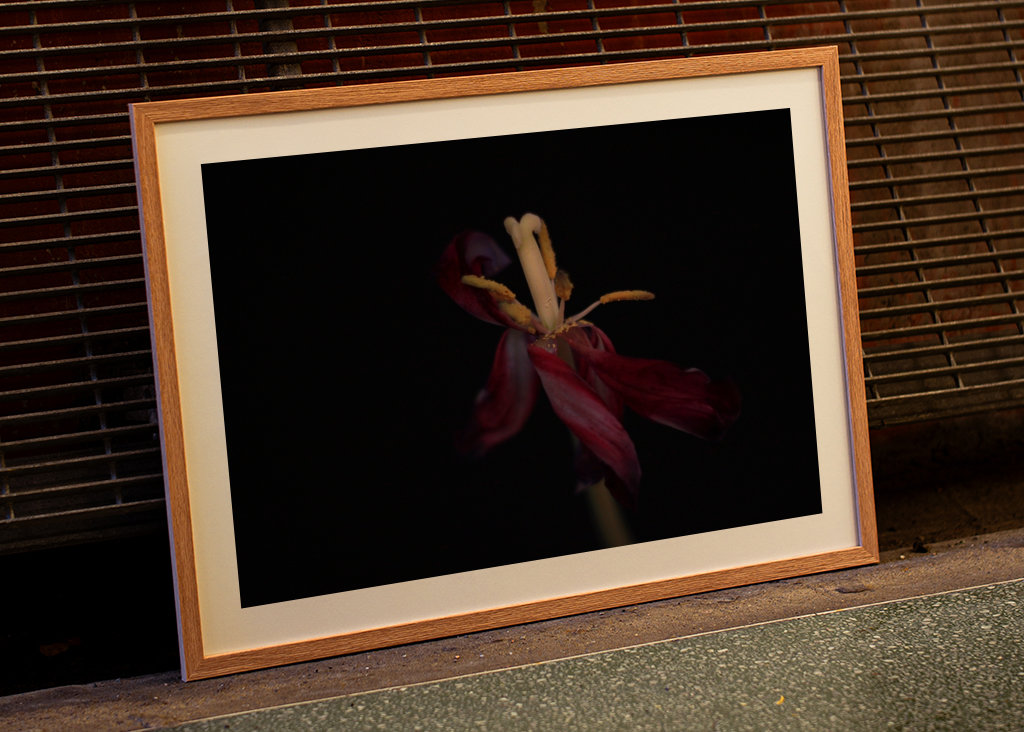 Withered flowers also bloom 4