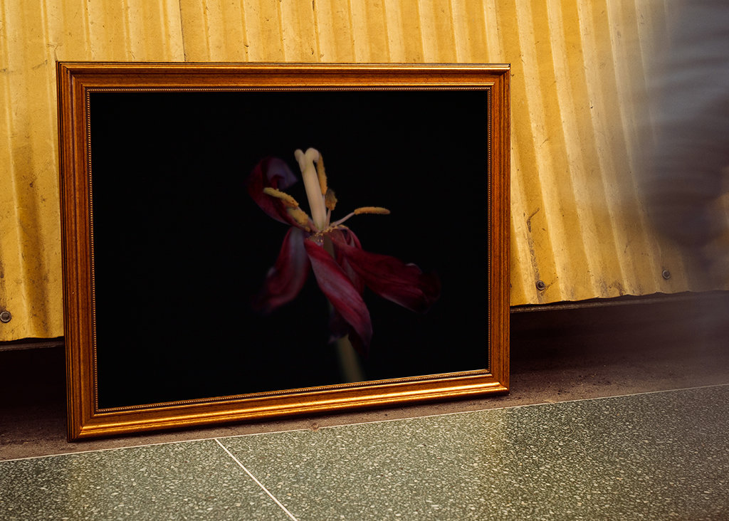 Withered flowers also bloom 4