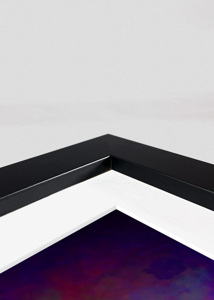 Albert Einstein popart