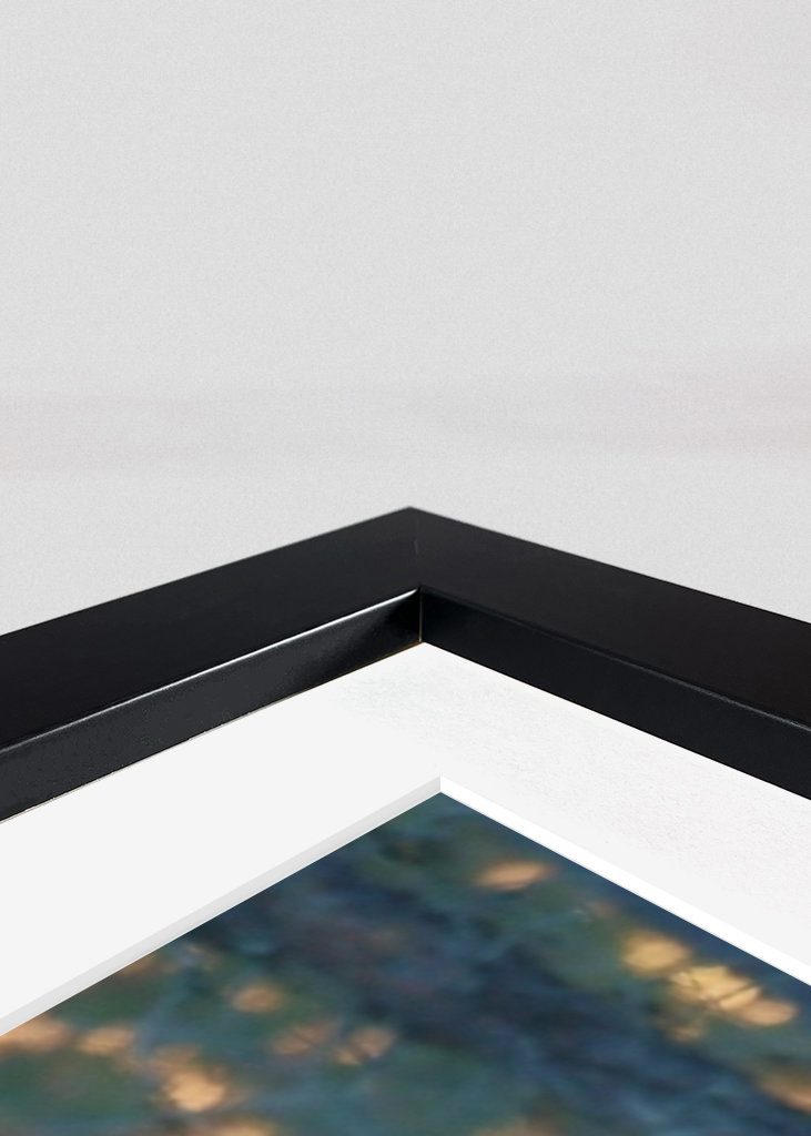 Námluvy tetřeva hlušce za soumraku