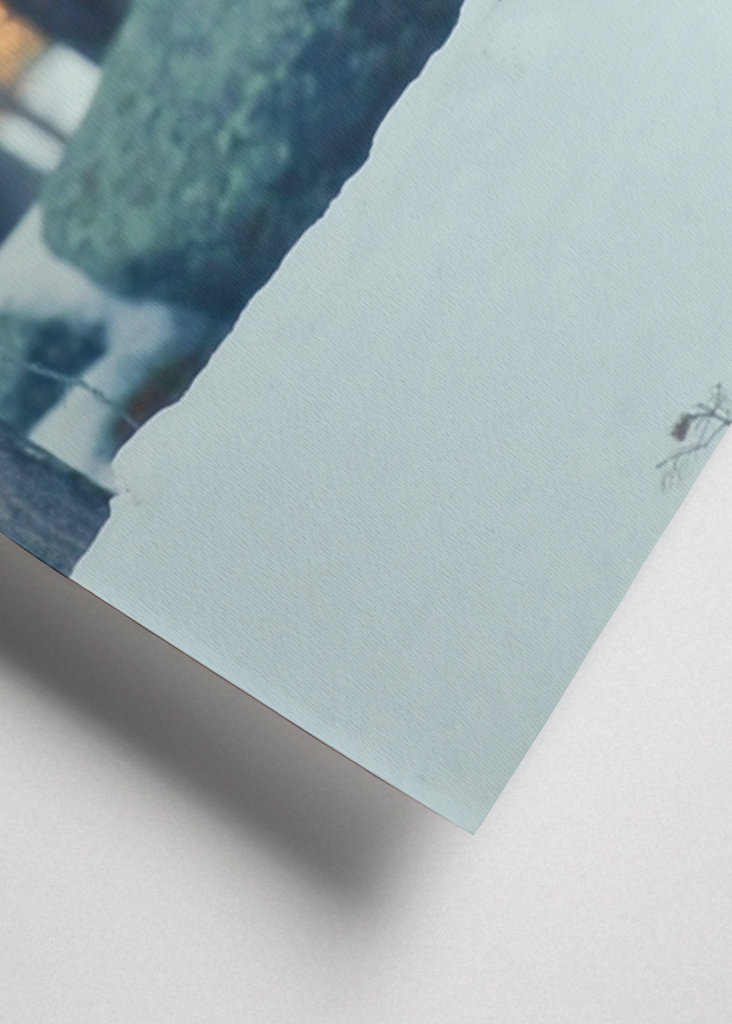 Námluvy tetřeva hlušce za soumraku