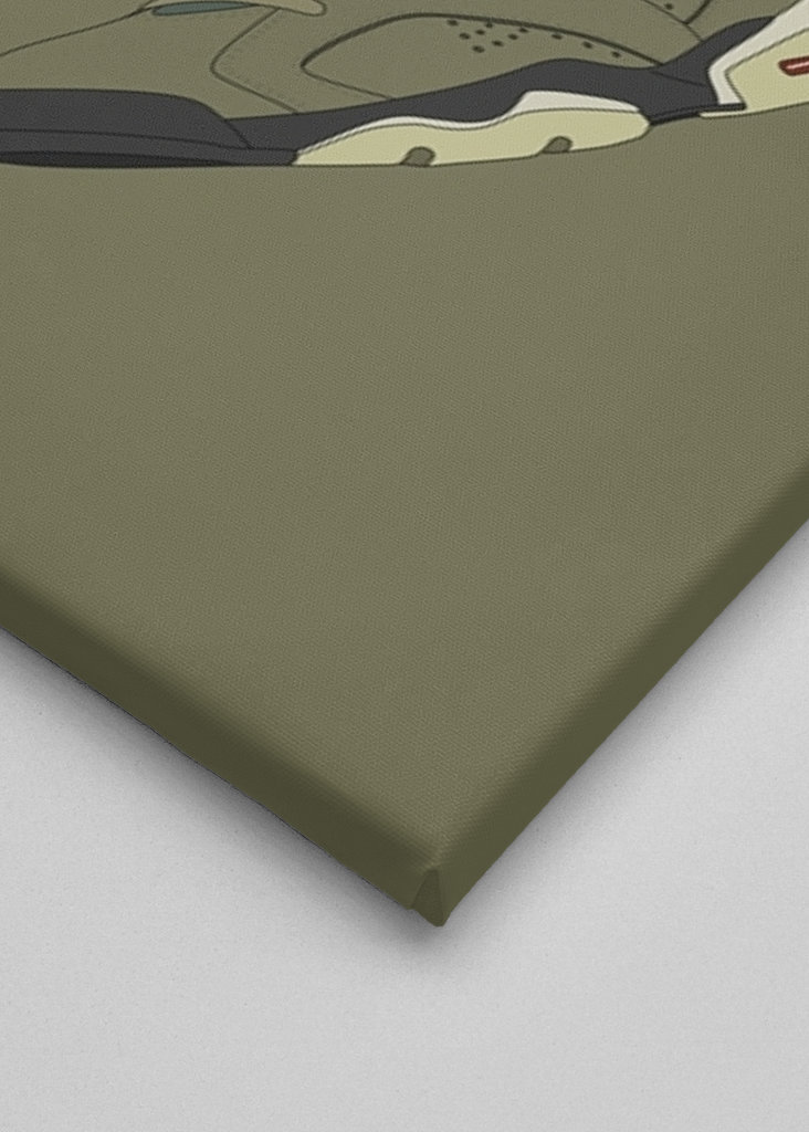 jordan 6 x cactus jack