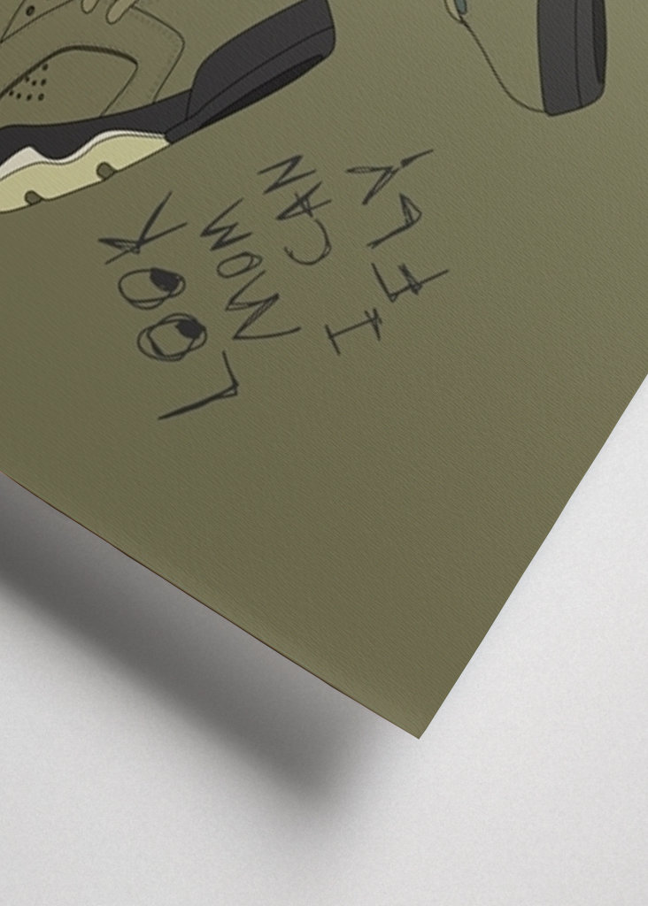 jordan 6 x cactus jack