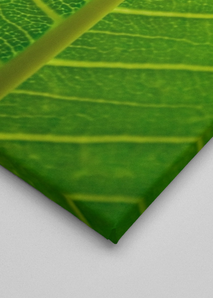  Vihreät lehdet lähikuvassa