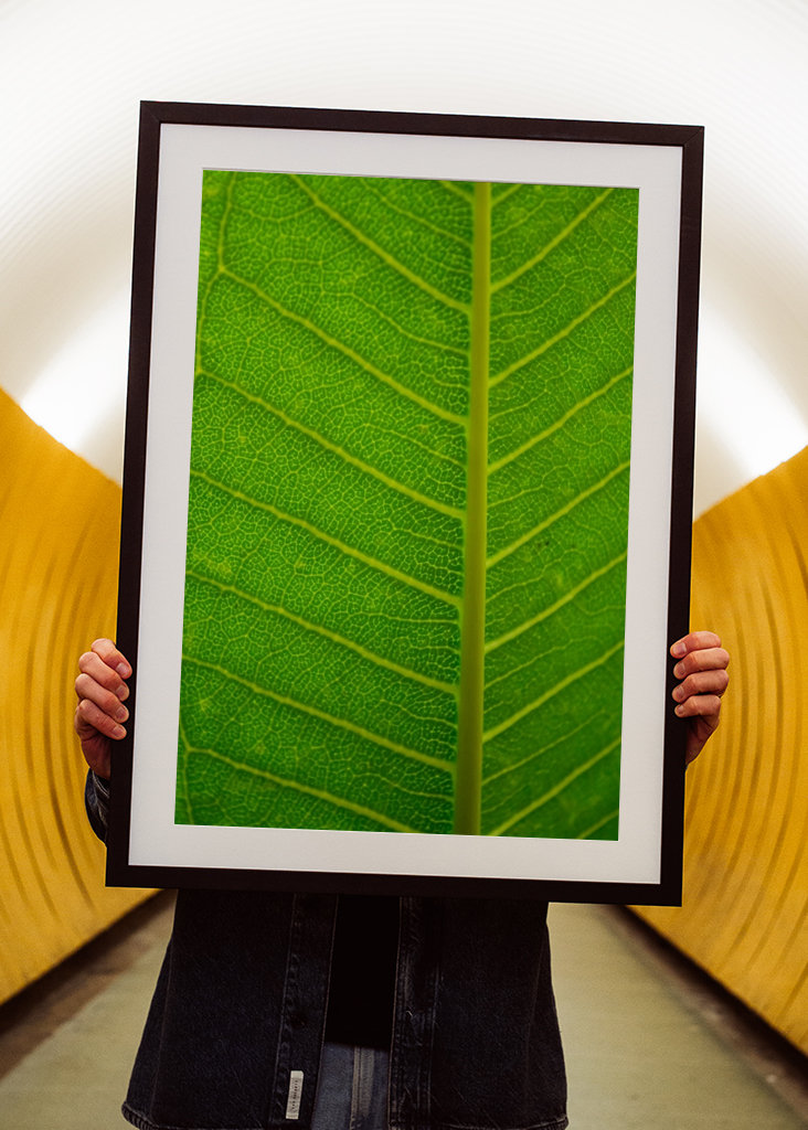  Vihreät lehdet lähikuvassa