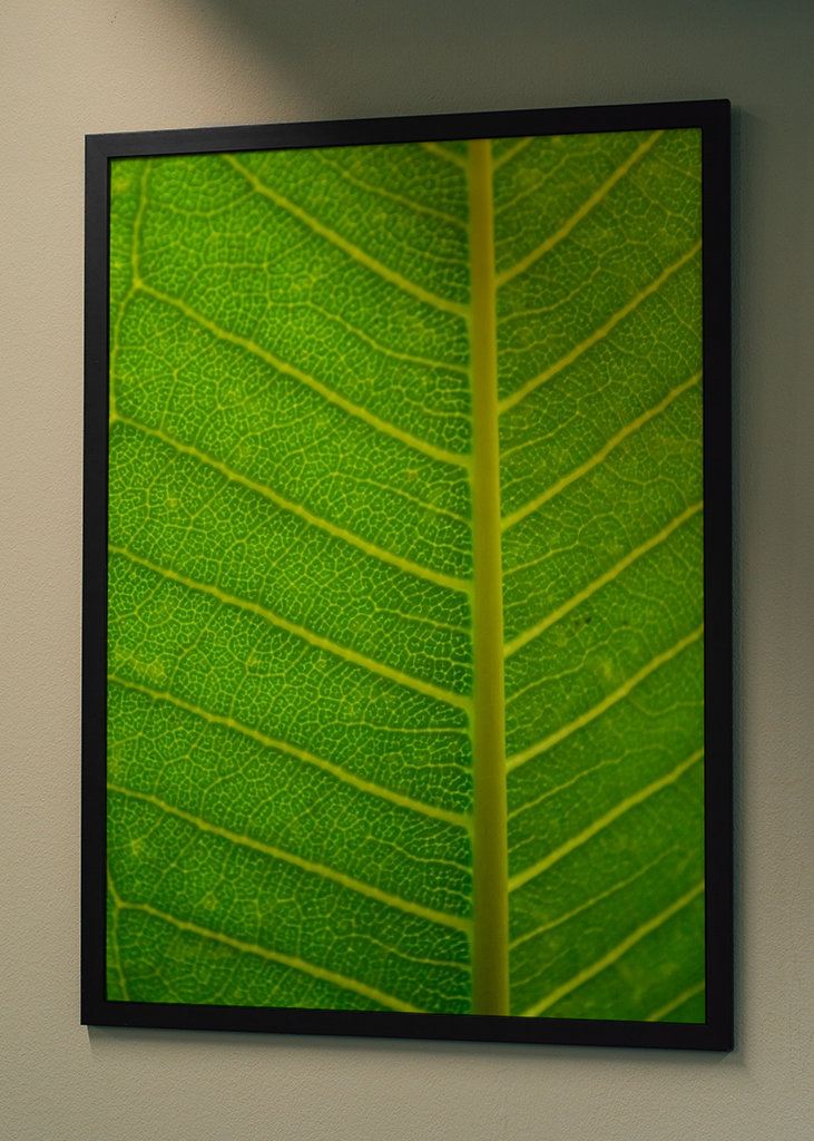  Vihreät lehdet lähikuvassa