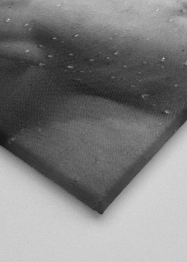 Michael Phelps Quote