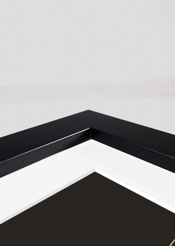 Die neugierige Katze