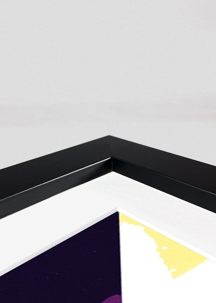 Racing Sebastian Vettel