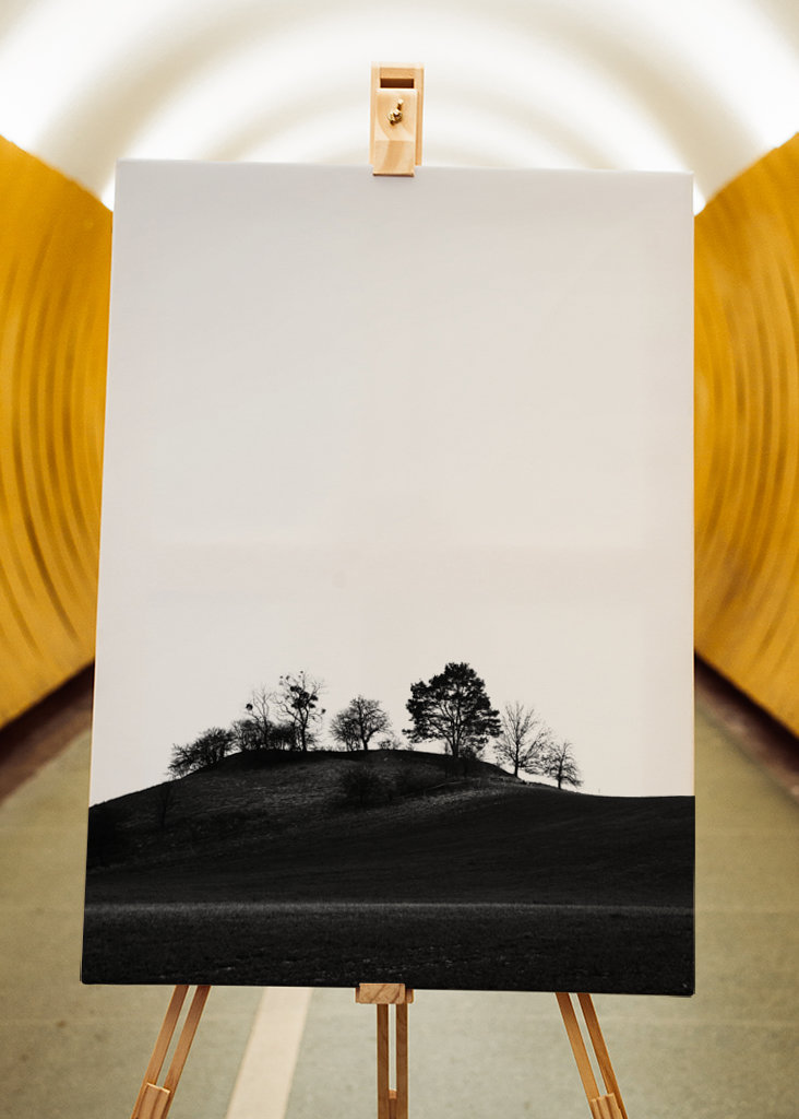 Braniborská krajina