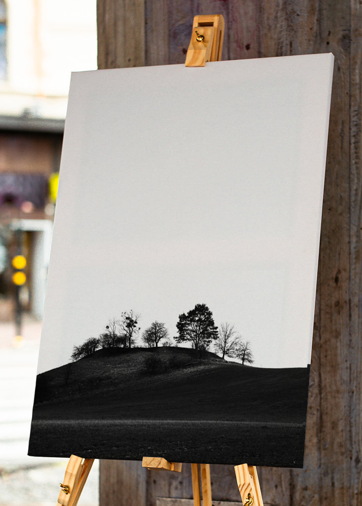 Braniborská krajina