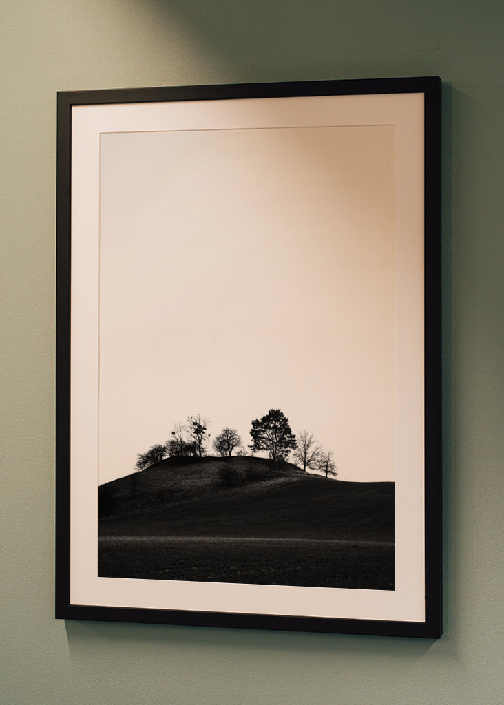 Braniborská krajina