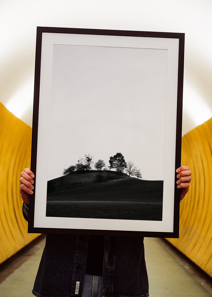 Braniborská krajina