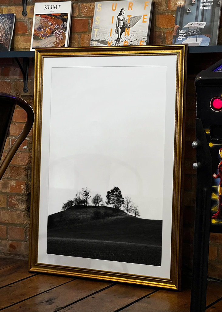 Braniborská krajina