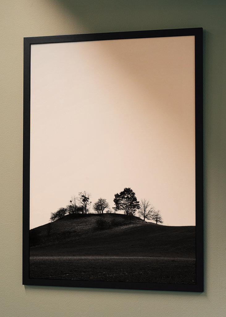 Braniborská krajina