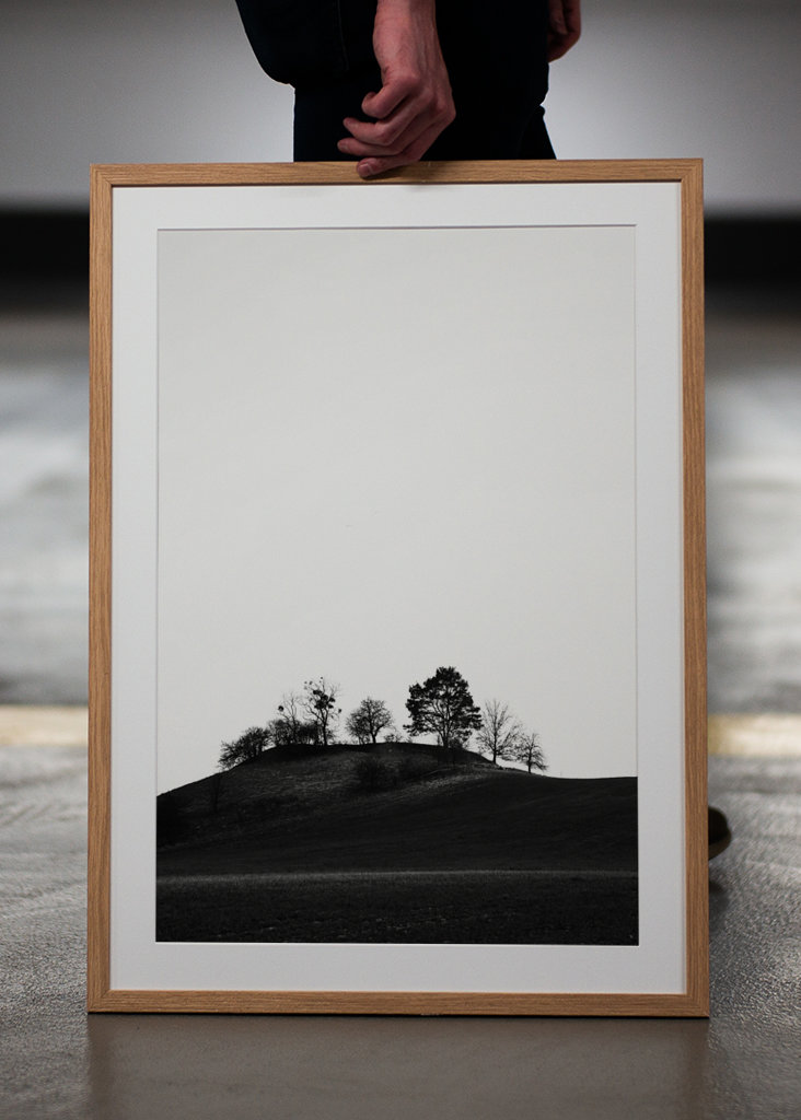 Braniborská krajina