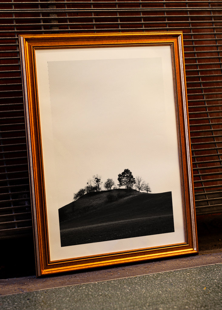 Braniborská krajina