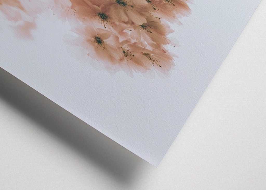 Rozkvetlá třešeň