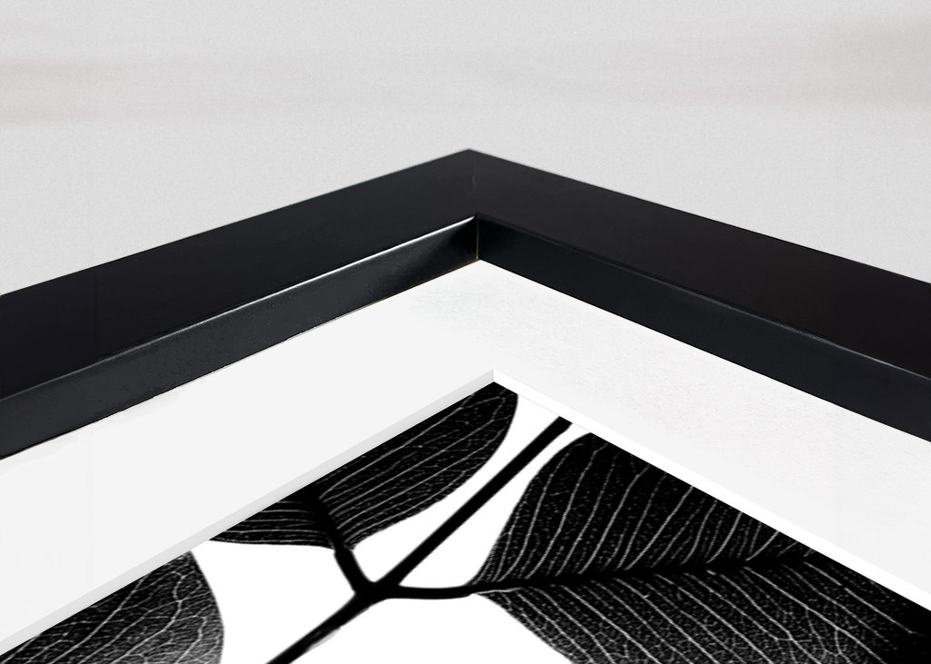 Experimente mit Blättern II