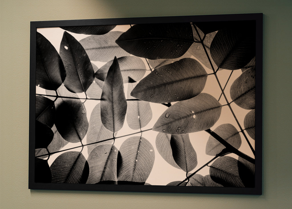 Experiments with Leaves I