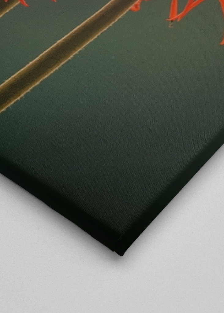 The Red Flowers of Uganda