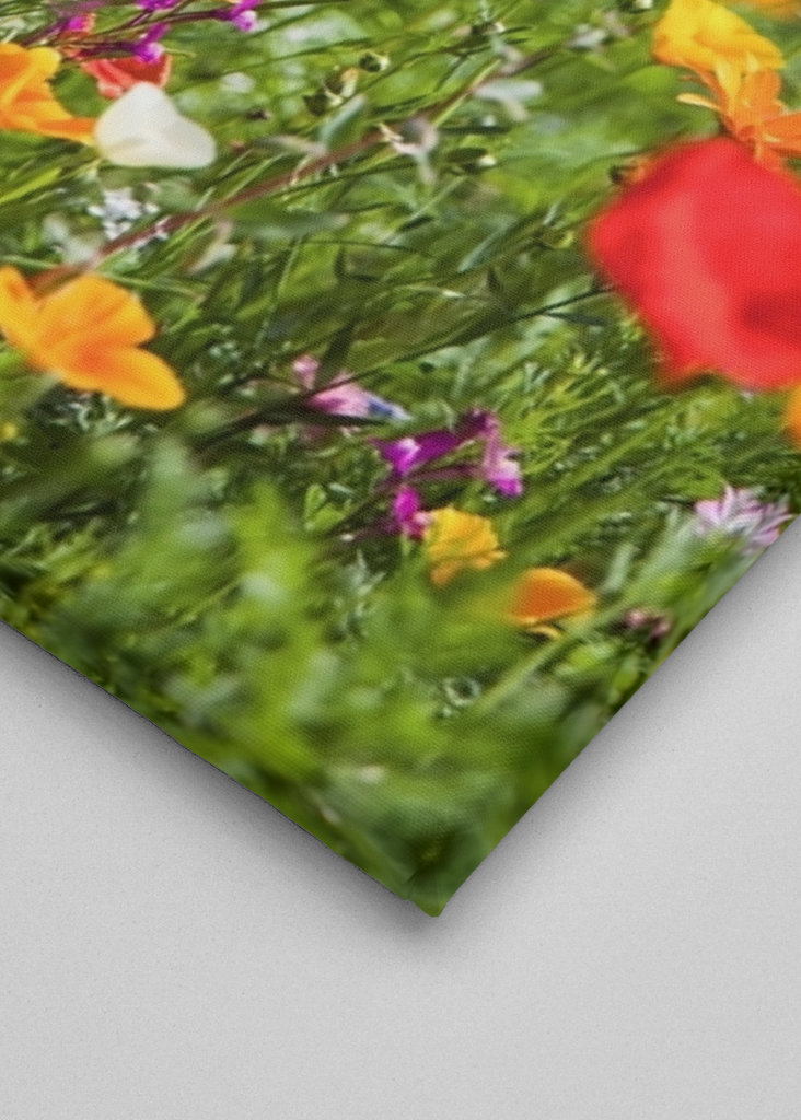 Blumenwiese mit Klatschmohn