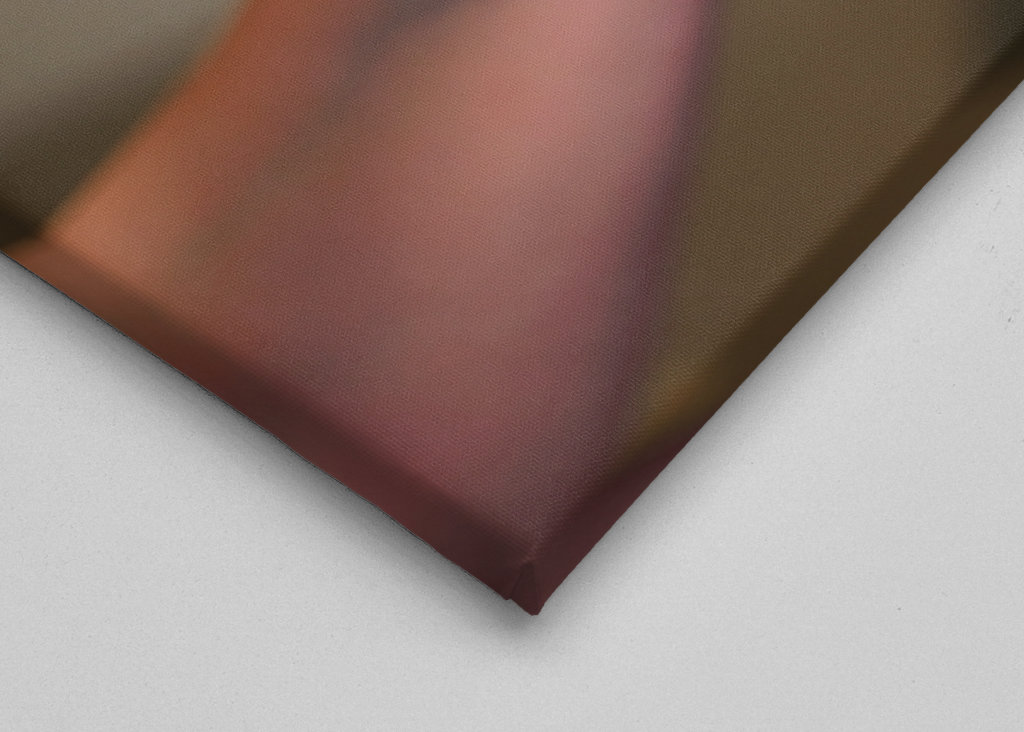 Dog at the hairdresser