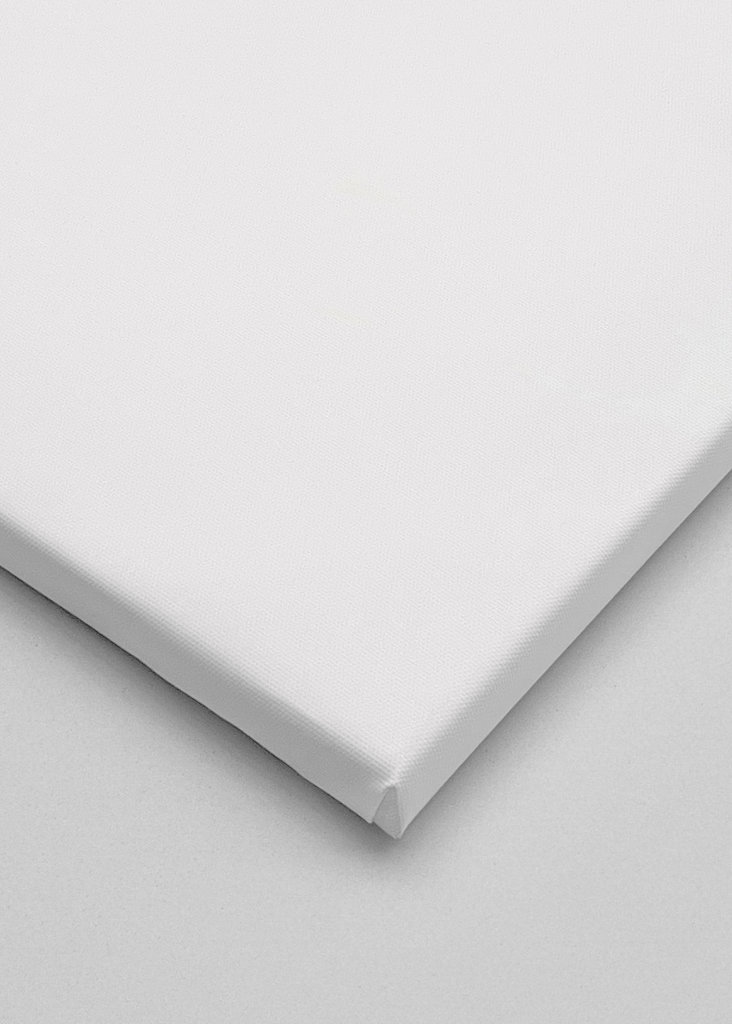 Liten sjøfugl i bevegelse 