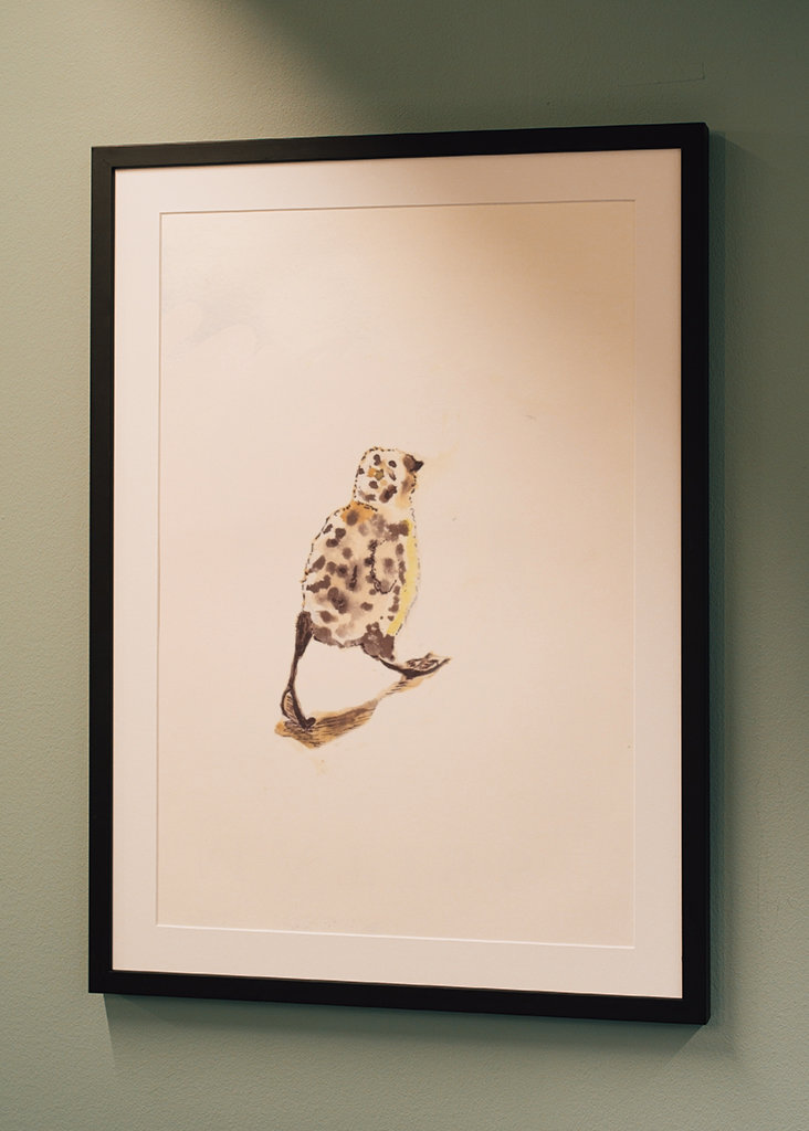 Liten sjøfugl i bevegelse 