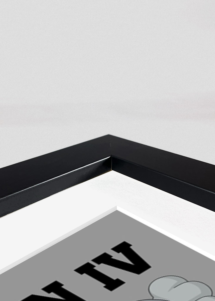 Jordan 4 retro x kaws