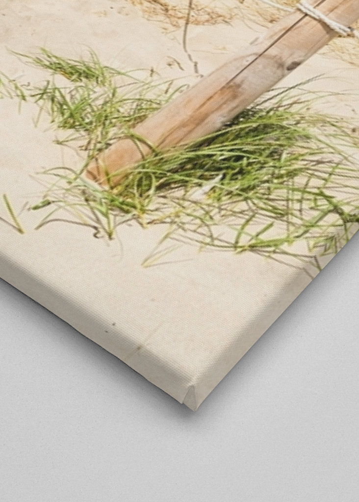 Pad door de duinen naar de zee