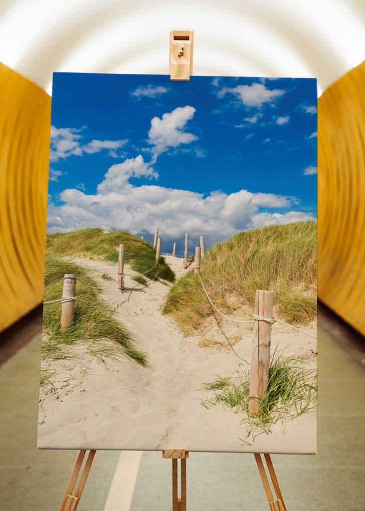 Pad door de duinen naar de zee