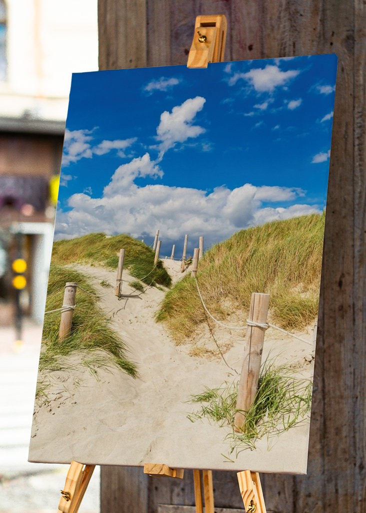 Pad door de duinen naar de zee