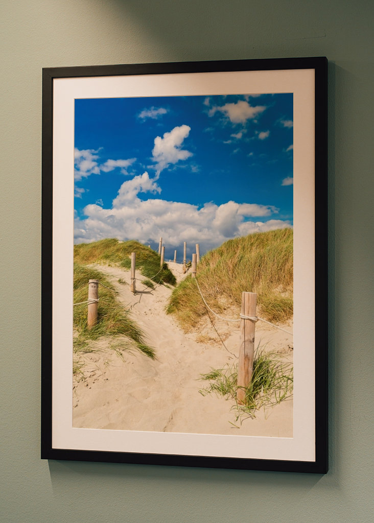 Pad door de duinen naar de zee