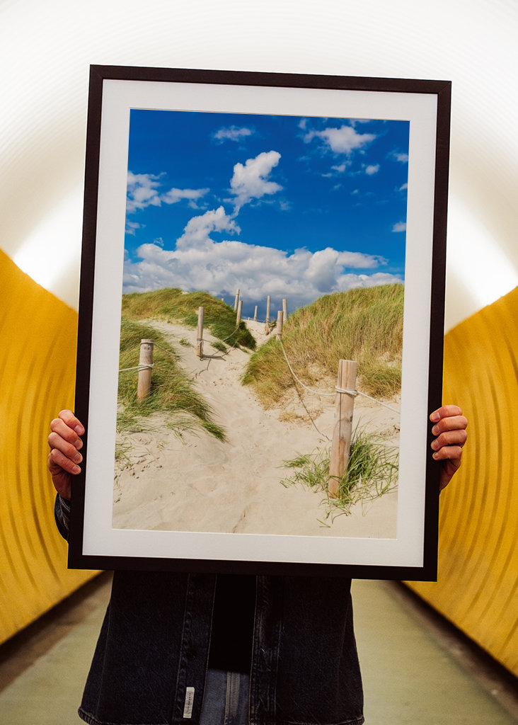 Pad door de duinen naar de zee