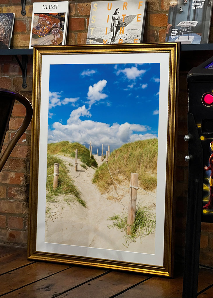 Pad door de duinen naar de zee