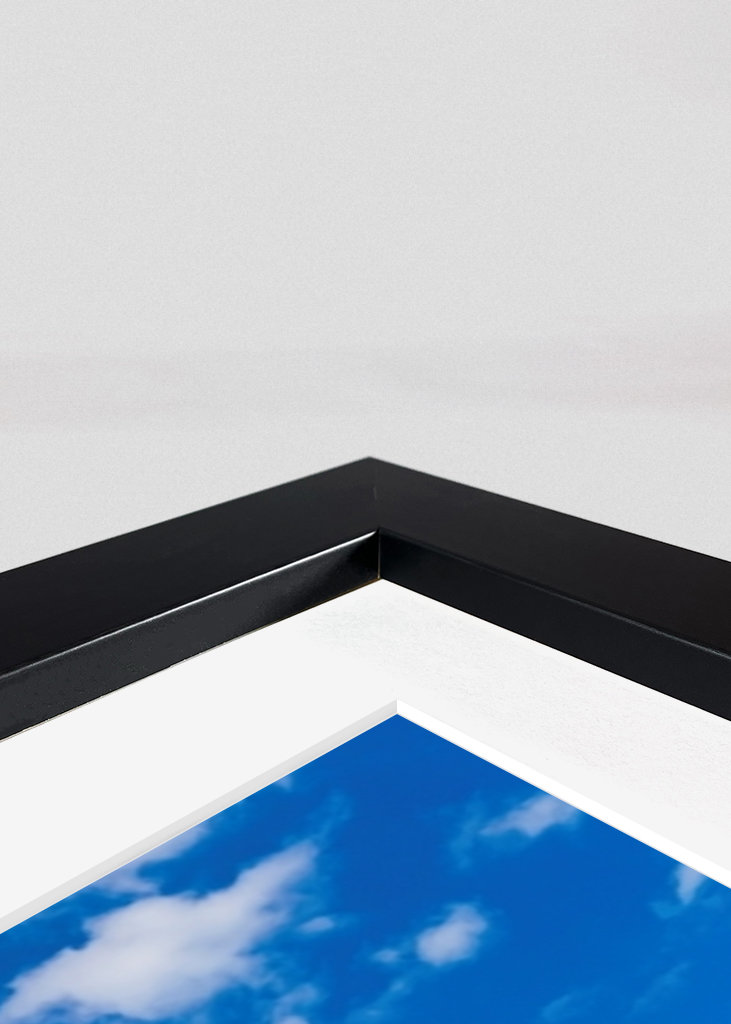 Pad door de duinen naar de zee