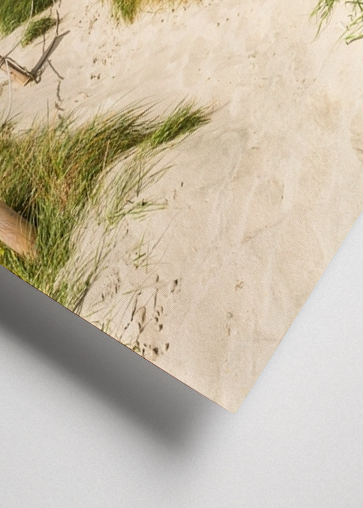 Pad door de duinen naar de zee