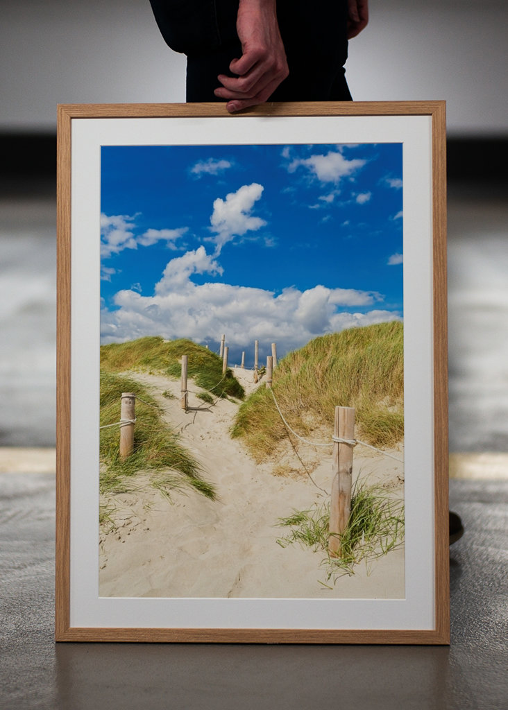 Pad door de duinen naar de zee