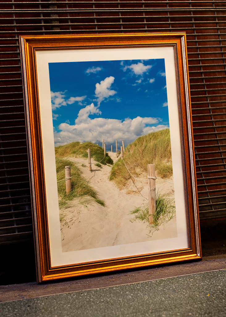 Pad door de duinen naar de zee