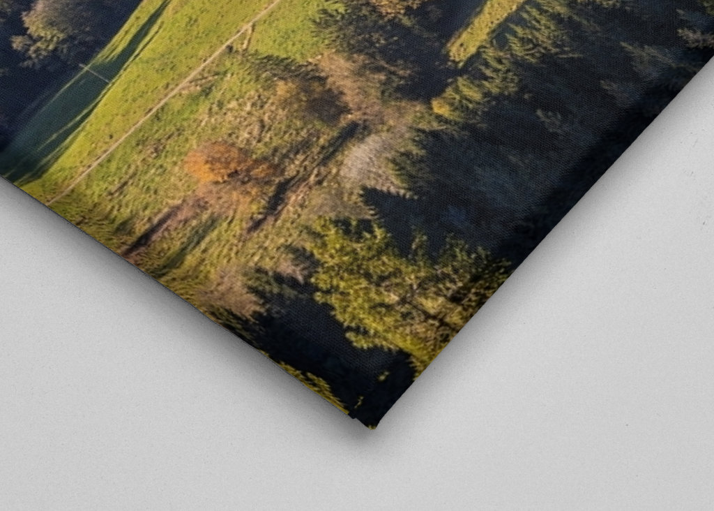 Black Forest in Germany