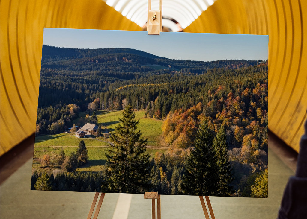 Black Forest in Germany