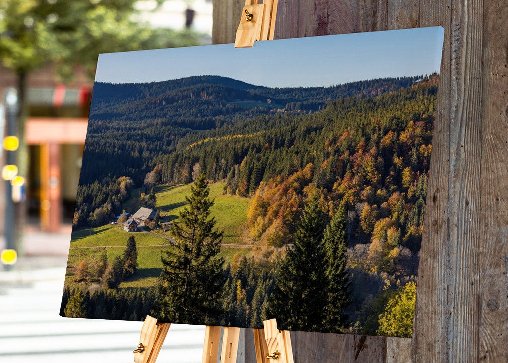 Black Forest in Germany