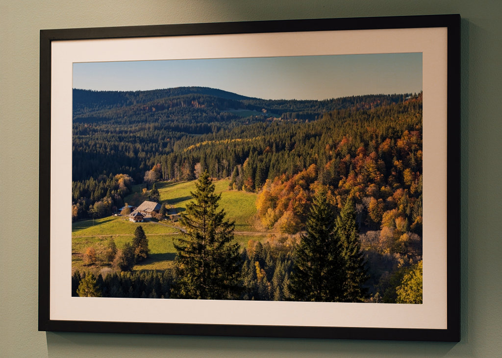 Black Forest in Germany