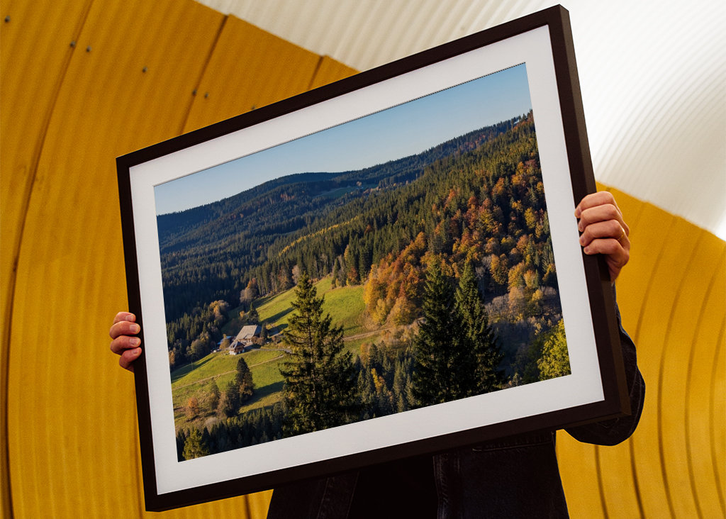 Black Forest in Germany