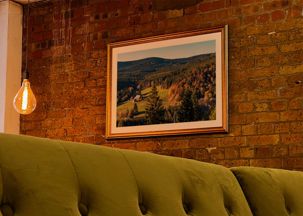 Black Forest in Germany