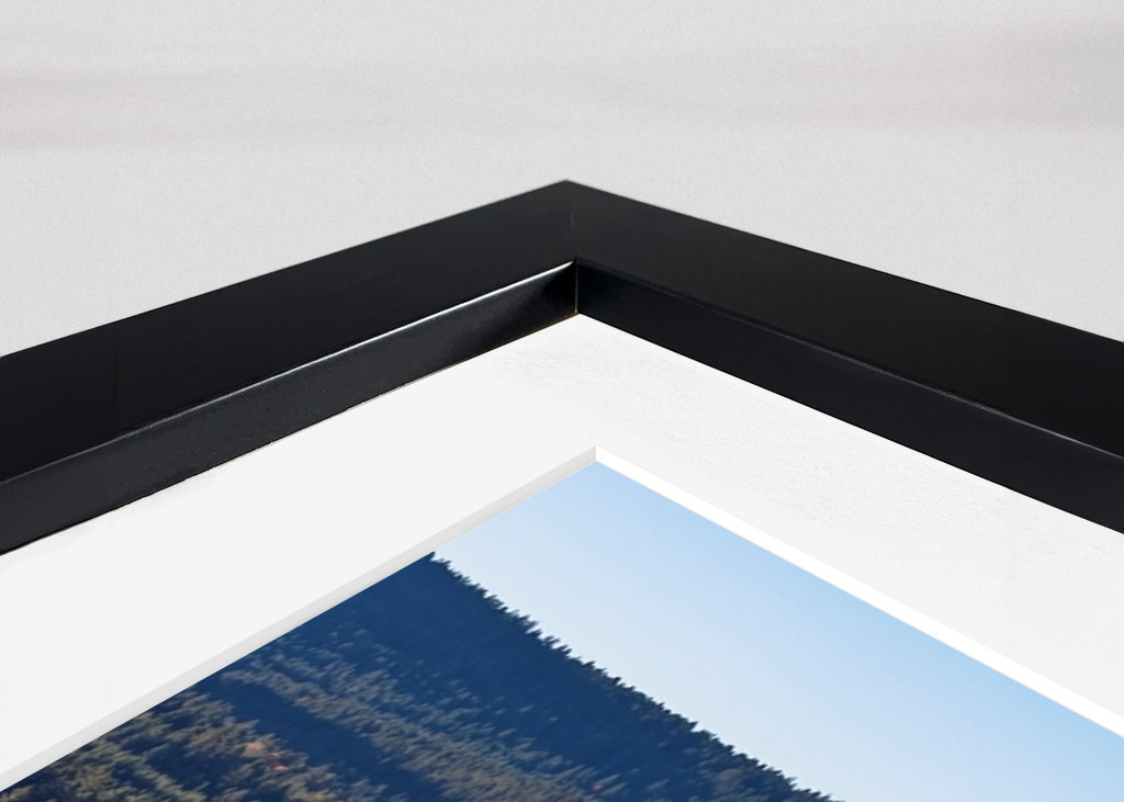 Black Forest in Germany