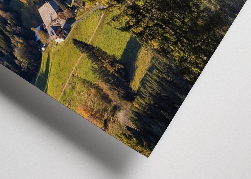 Black Forest in Germany