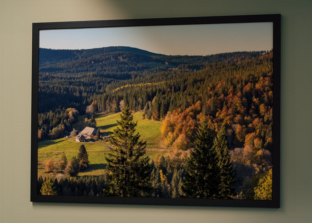 Black Forest in Germany