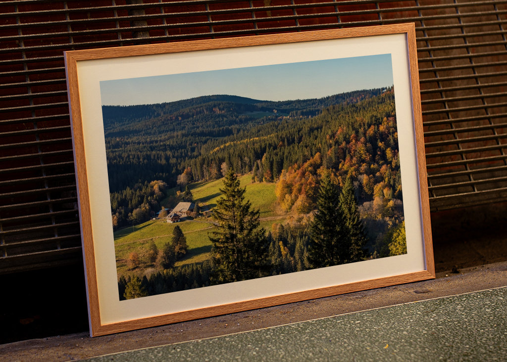 Black Forest in Germany